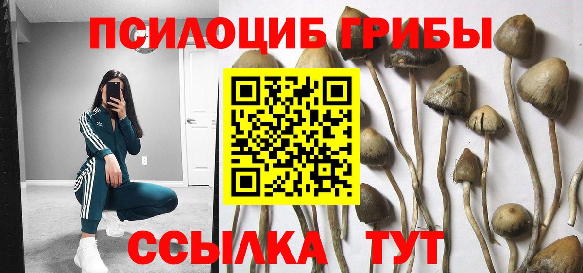 Дедовск  Псилоцибиновые грибы MAGIC MUSHROOMS  Псилоцибиновые грибы мицелий  купить наркотики цена  Вход с VPN 