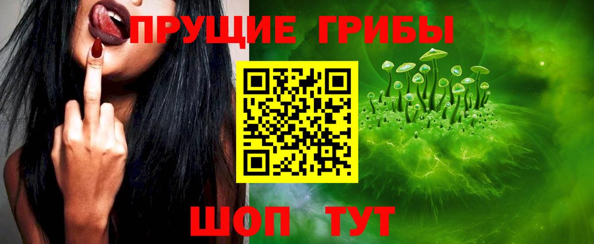 Псилоцибиновые грибы ЛСД Дедовск